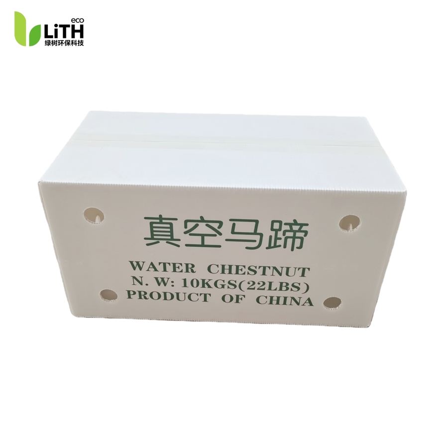 Water Chestnut Packaging Box