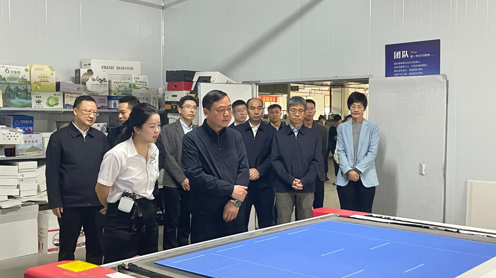 市政府主要領(lǐng)導(dǎo)蒞臨綠樹公司考察調(diào)研