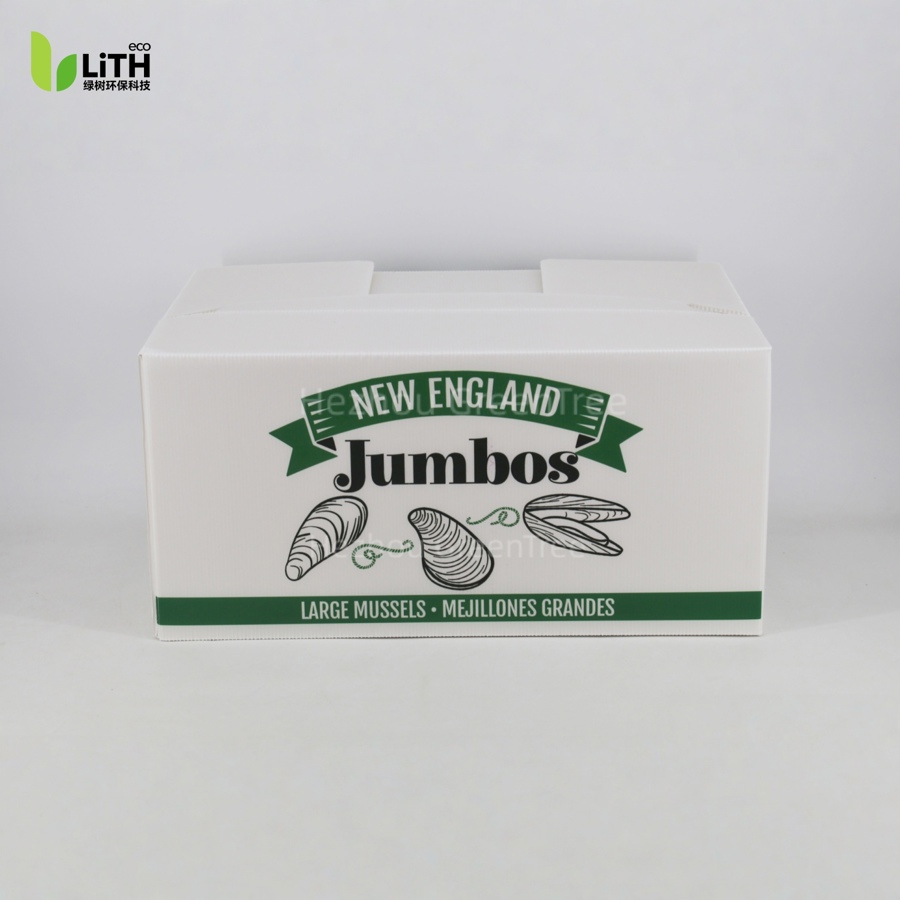 JUMBOS MUSSEL BOX