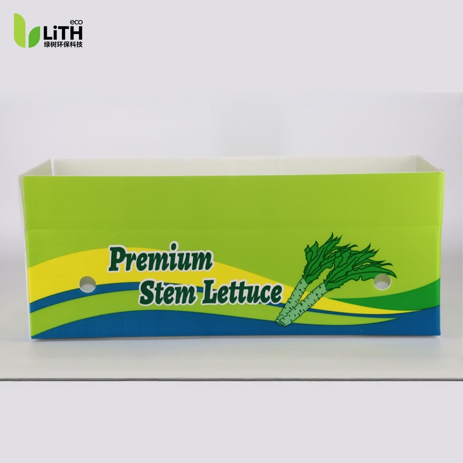 Stem Lettuce Fresh Produce Box