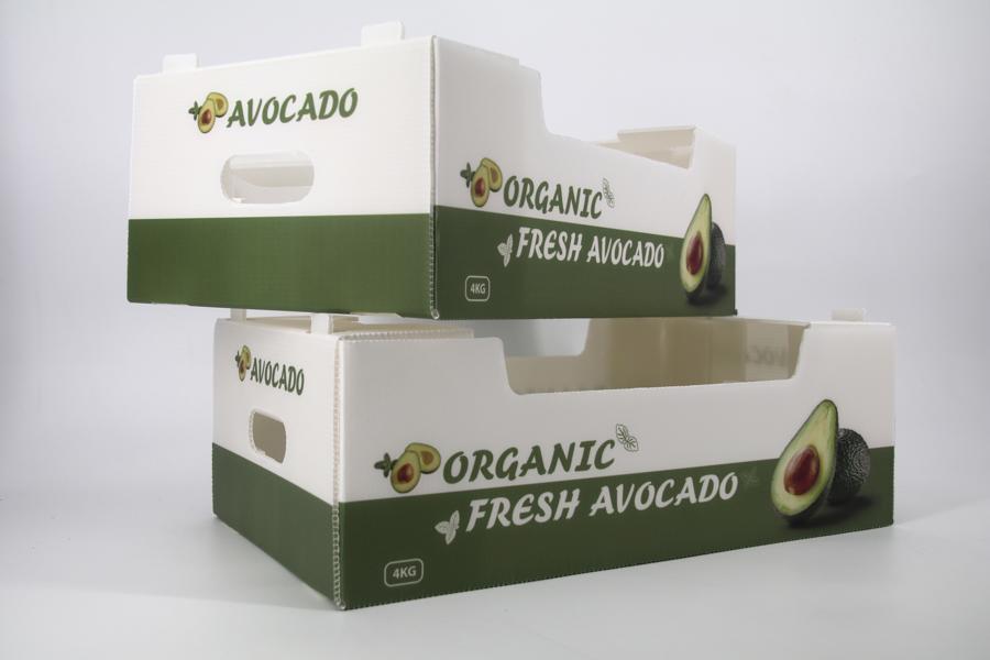 AVACADO PACKAGING BOX