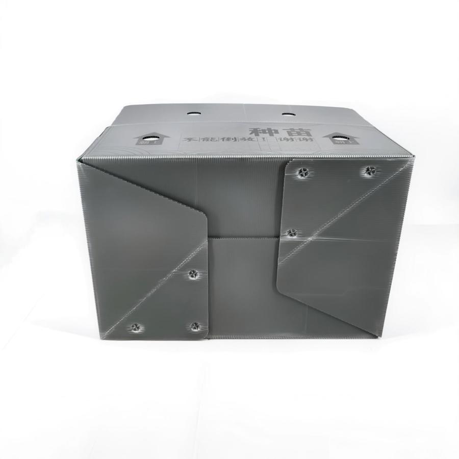 Automatic folding bottom seedling cultivation MFPP box