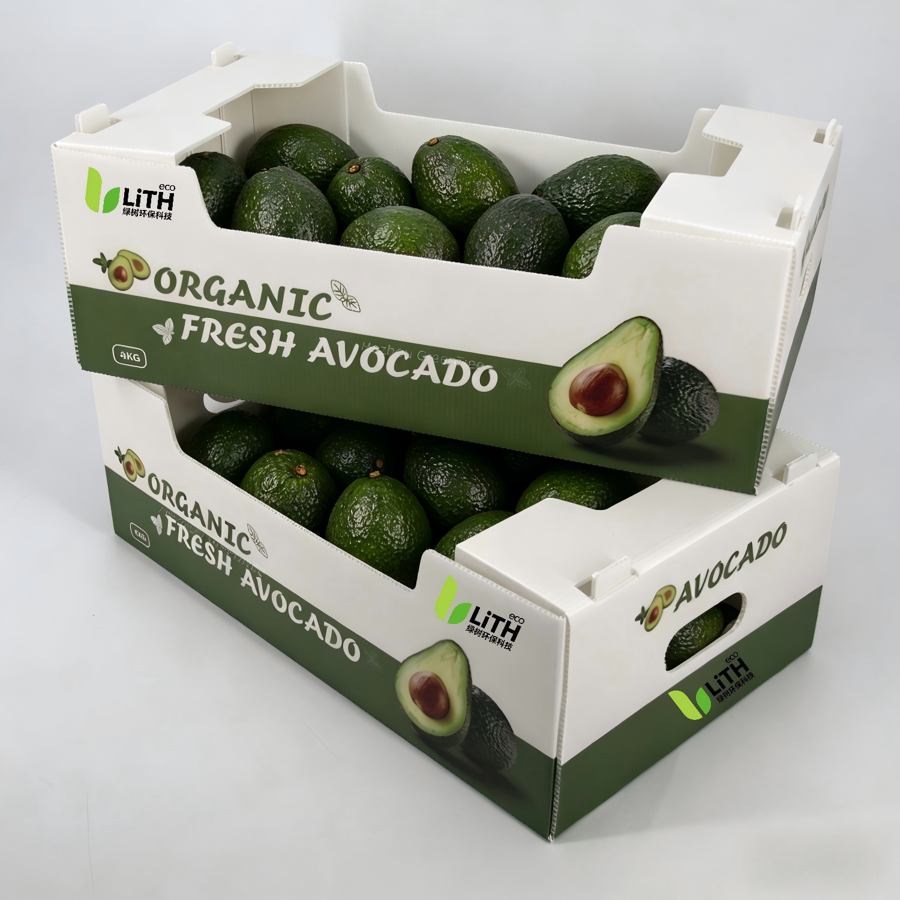 Custom Logo MFPP Corflute Box Collapsible Coroplast Vegetable Fruit Packaging