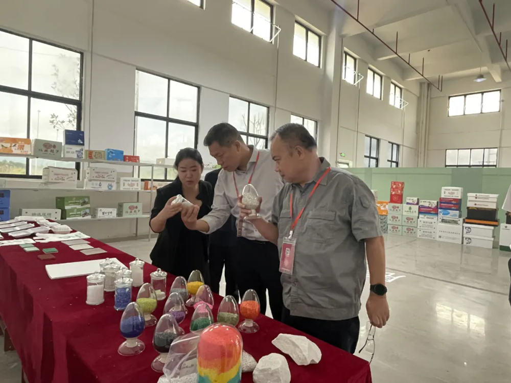 廣西真龍實(shí)業(yè)到訪我司開(kāi)展商務(wù)交流活動(dòng)