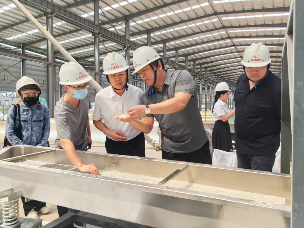 要聞｜賀州綠樹四號(hào)母粒（LS-4）試機(jī)成功