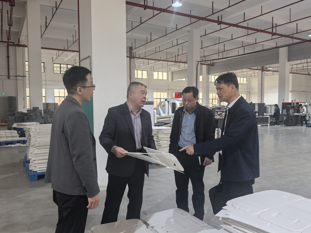 賀州市政協(xié)領(lǐng)導(dǎo)蒞臨綠樹公司考察調(diào)研