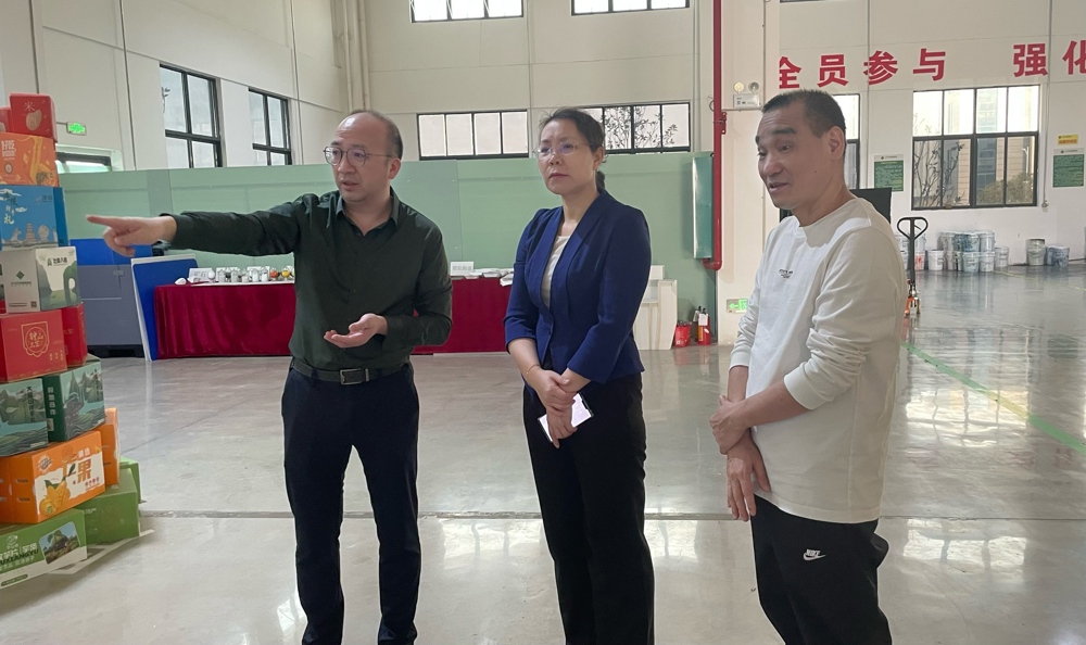 深圳市騰云新能源材料領(lǐng)導(dǎo)蒞臨綠樹公司考察調(diào)研